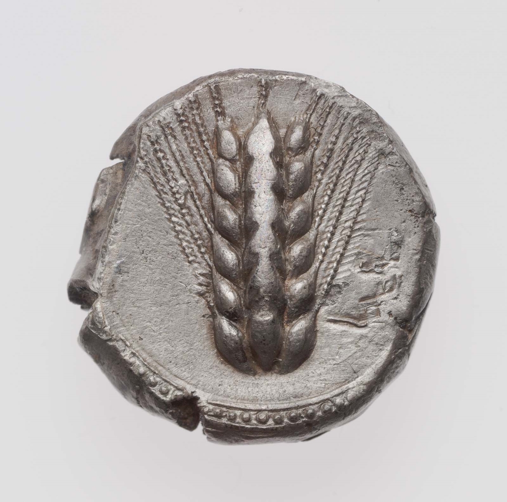 Stater of Metapontion 500–473 B.C.