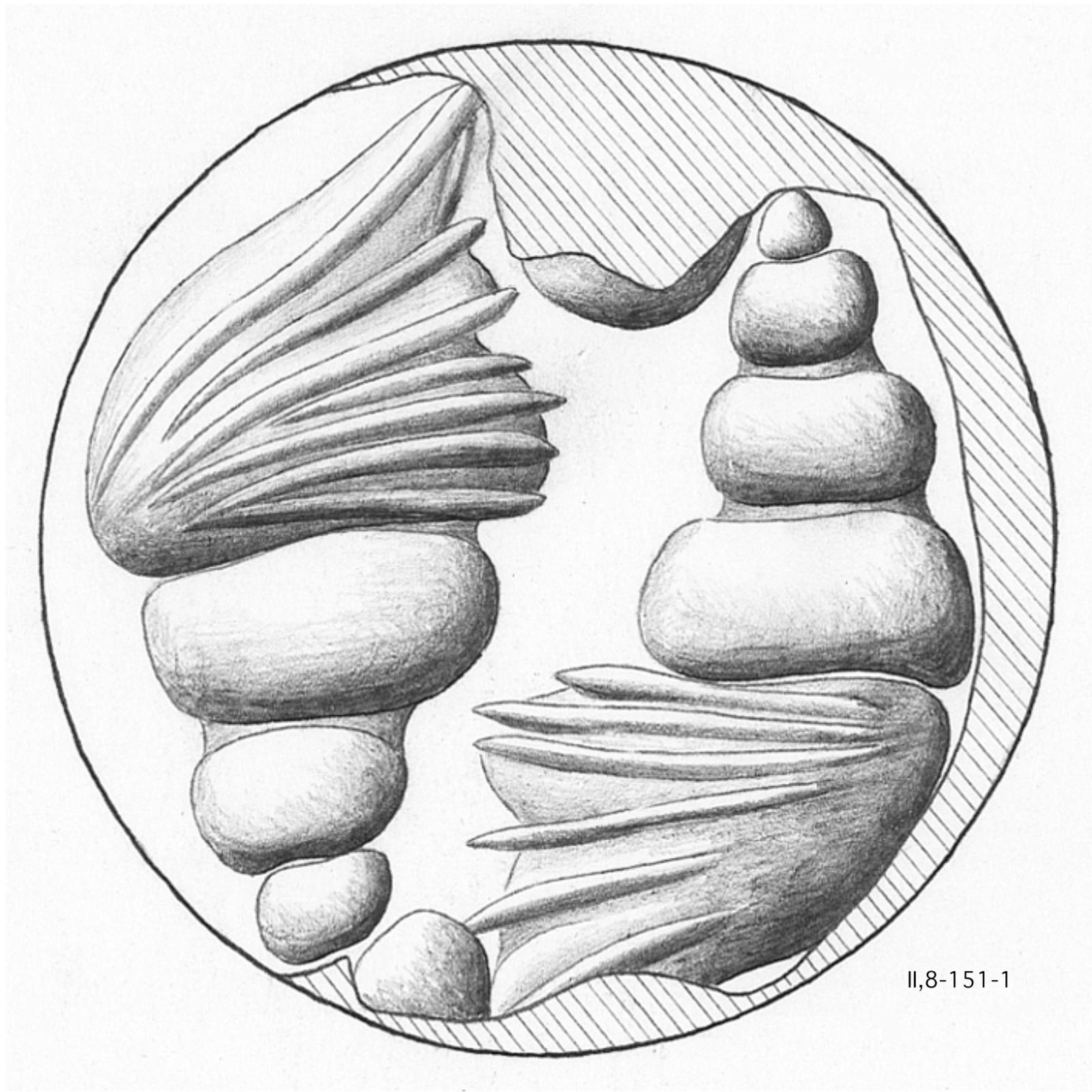 image (4)